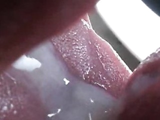 Kacey Swallows Cum in Her 1st Spermcam Shoot