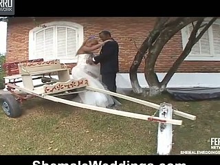 Awesome doggystyle anal fuck with well-hung shemale bride and ebon groom